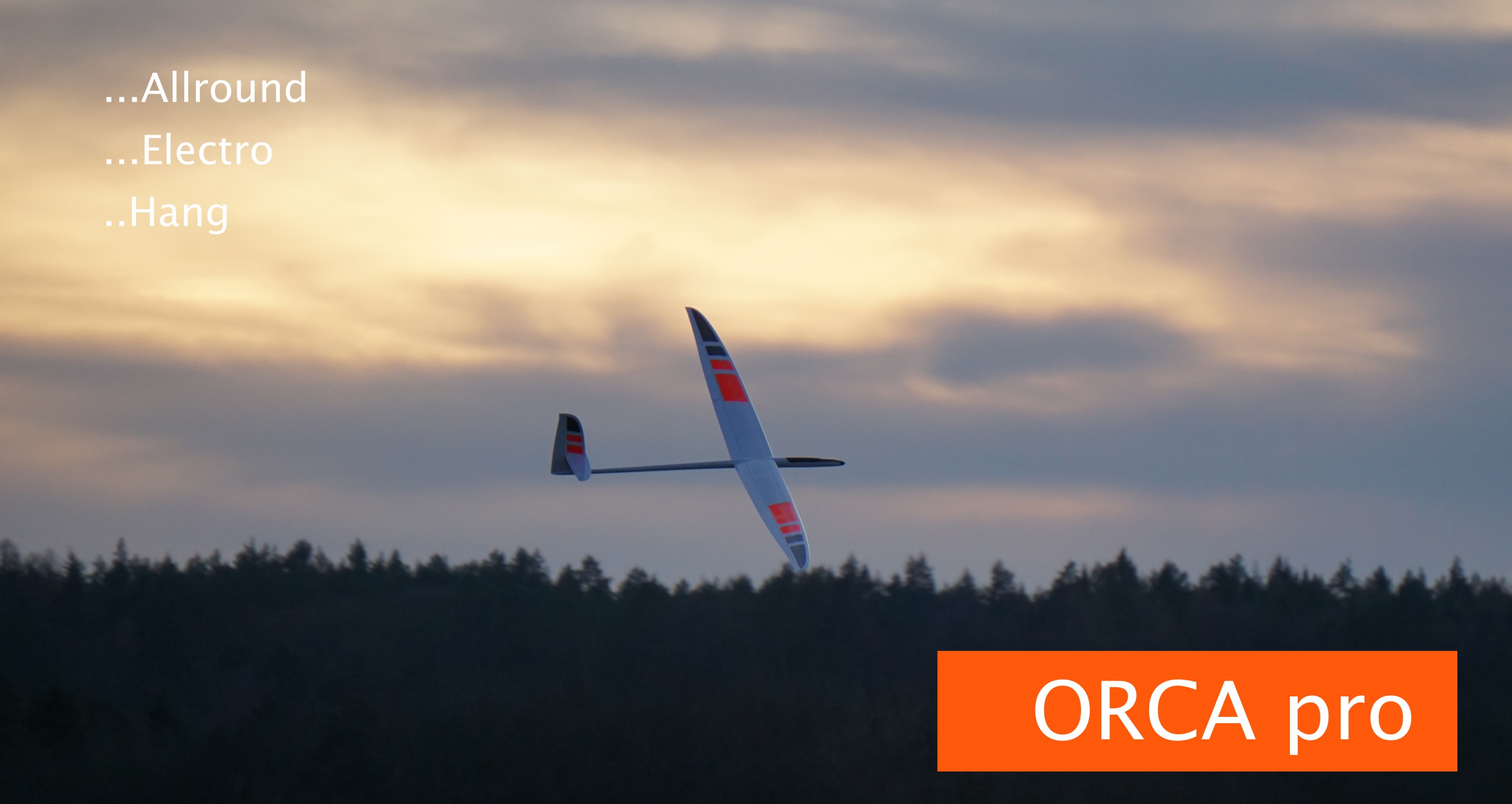 F3J-model Orca